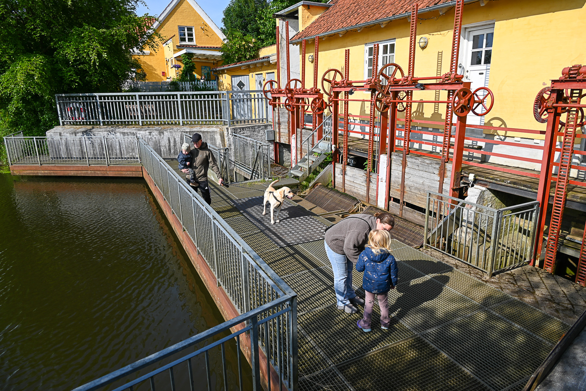 Naturkraft
