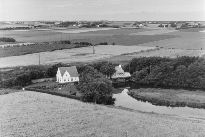 1961
